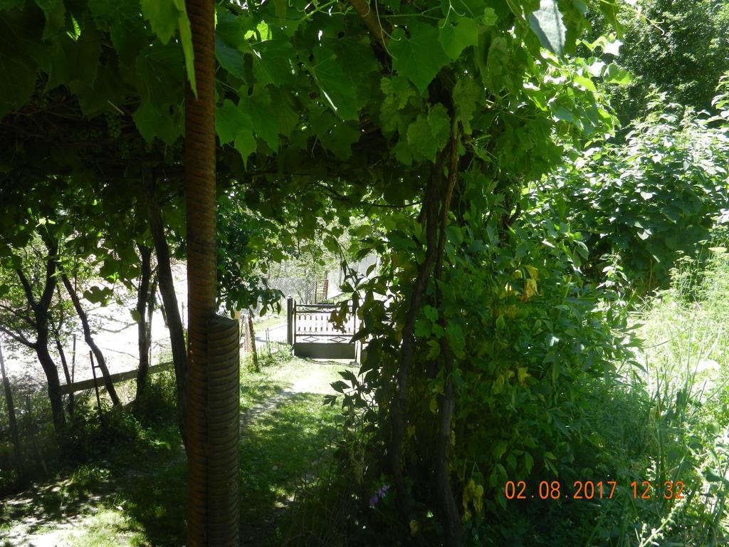 ميستيا Marina Chartolani'S Guest House المظهر الخارجي الصورة