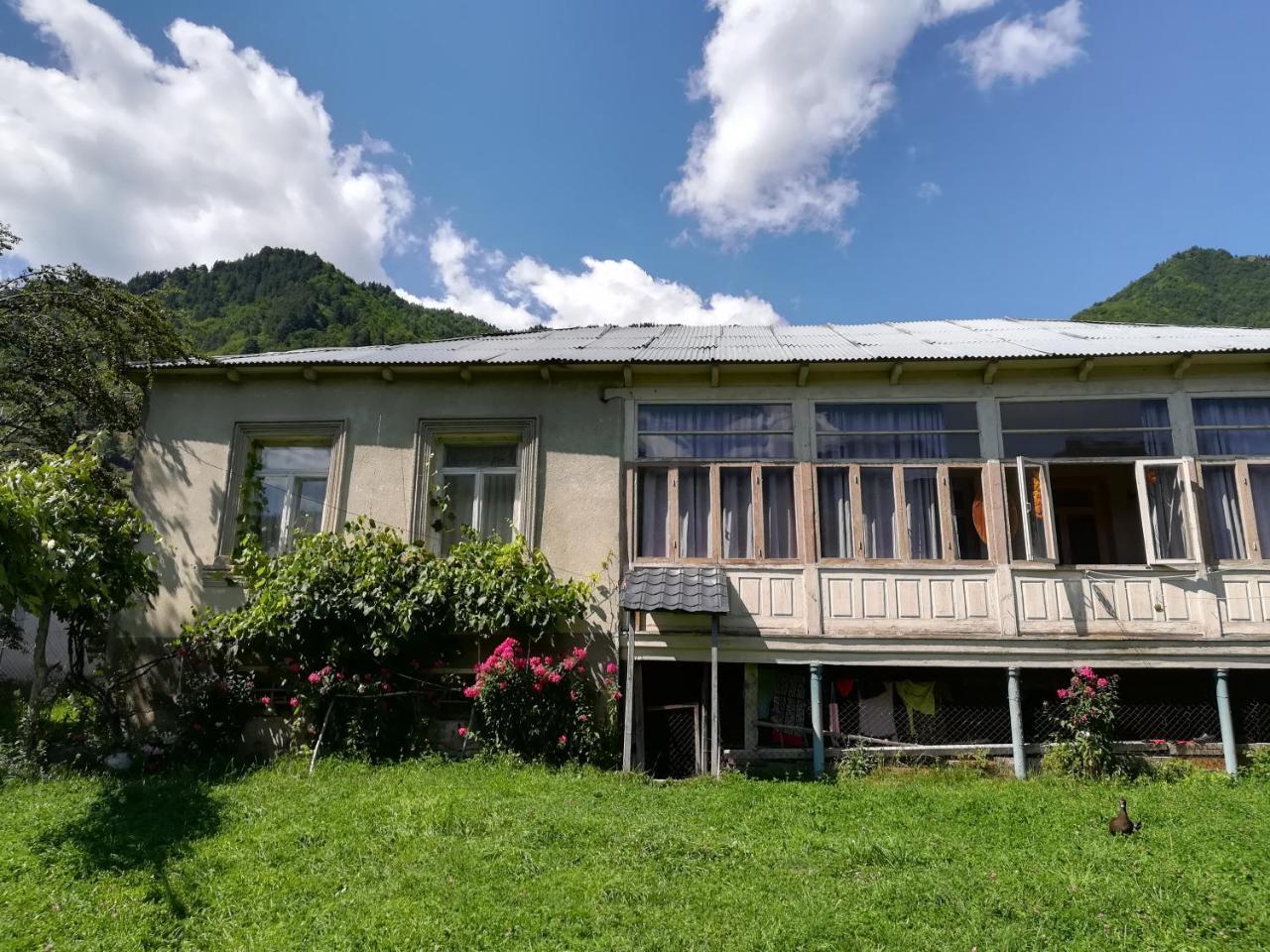 ميستيا Marina Chartolani'S Guest House المظهر الخارجي الصورة