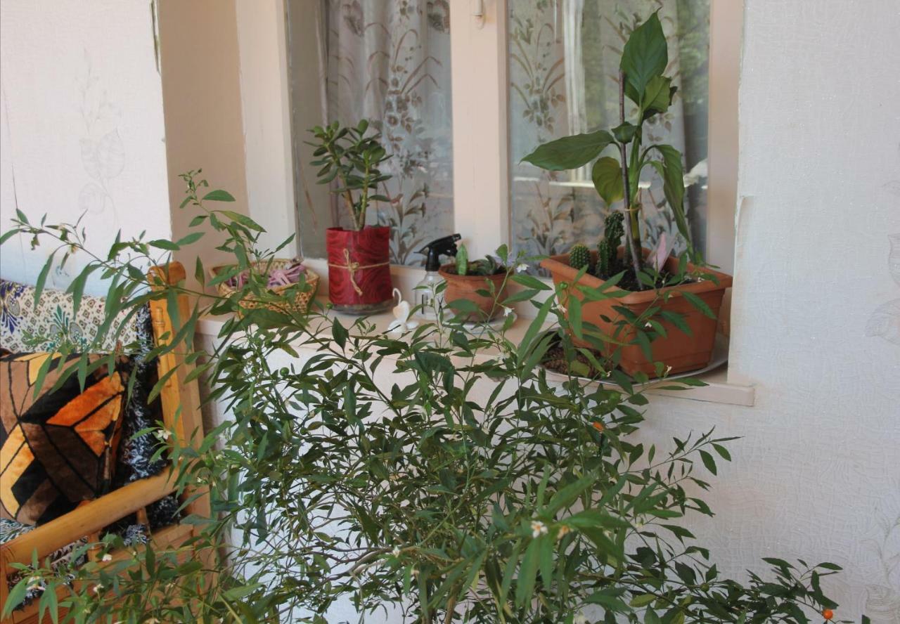 ميستيا Marina Chartolani'S Guest House المظهر الخارجي الصورة